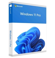 windows-11-pro